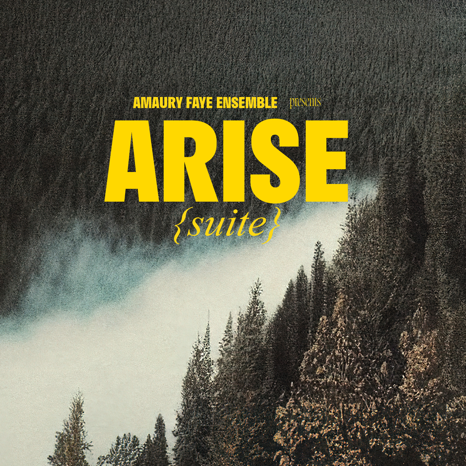 Amaury Faye - ARISE {suite}